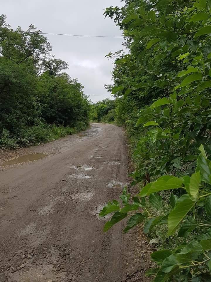 FOTO. Consiliul Județean, prins cu manipularea: Așa arată un drum reabilitat din județ