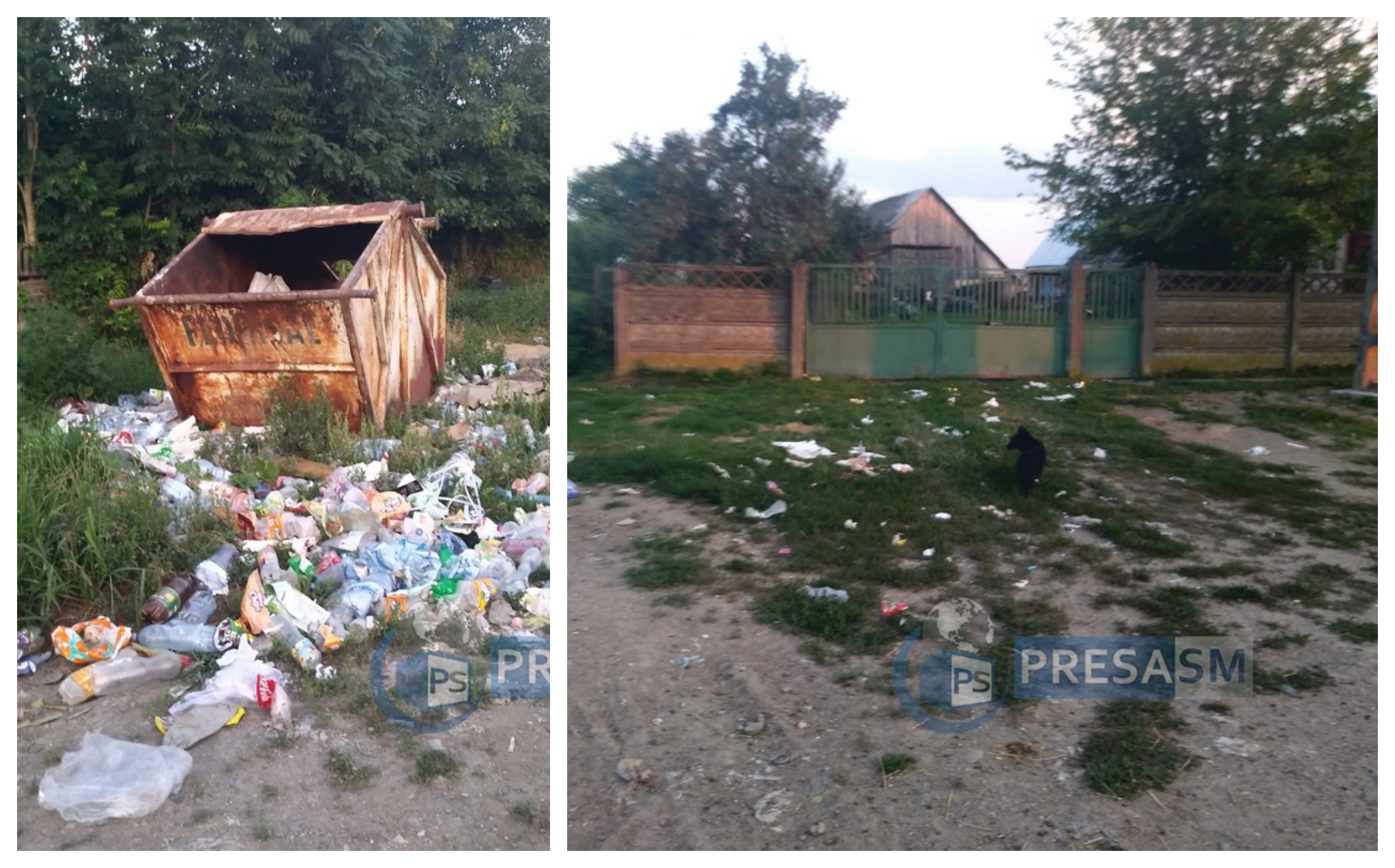 FOTO/VIDEO. Coșmarul unei familii din Sătmărel. Groapă de gunoi în fața casei