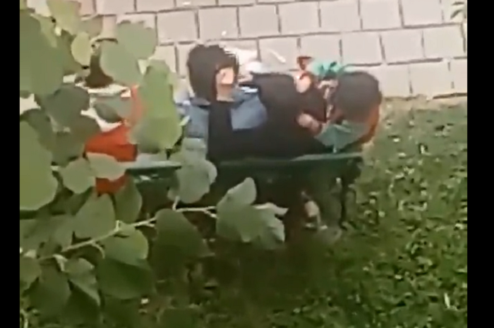 VIDEO. Imagini de EV MEDIU. Despăduchere în grup în Carei