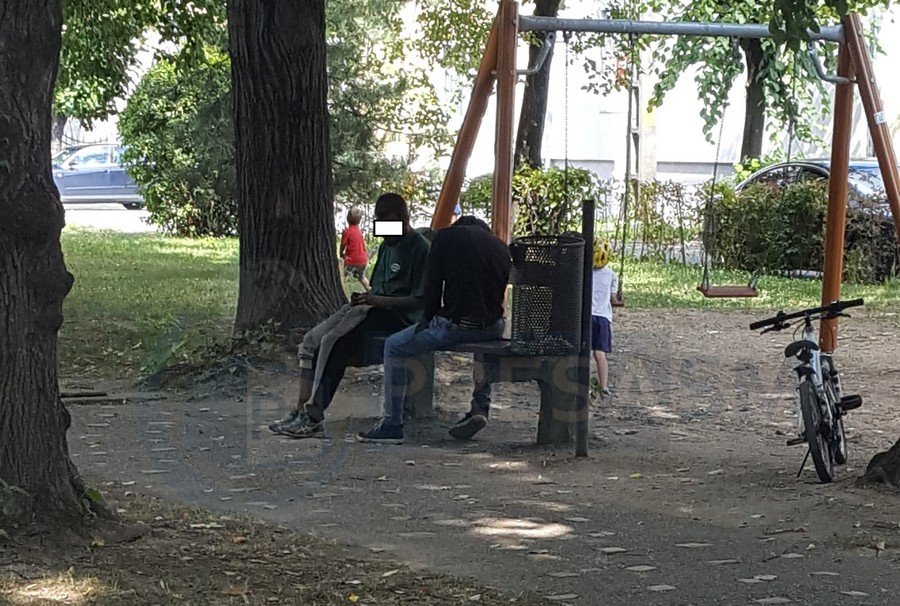 FOTO. Cum se droghează tinerii în parcurile din Satu Mare. În plină zi