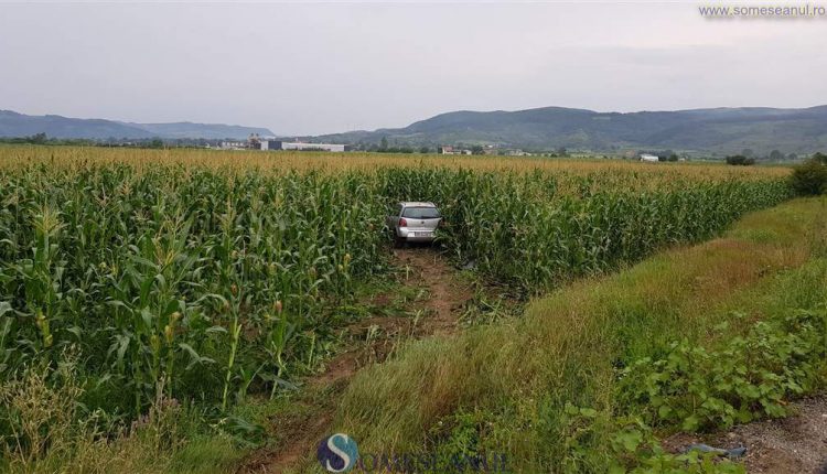 FOTO/VIDEO. O femeie a ajuns cu mașina pe câmp. Ambulanțierii sătmăreni, la datorie