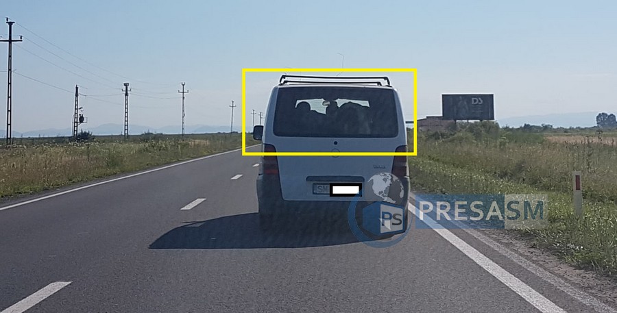FOTO/VIDEO. Văcuțe transportate cu un microbuz... Mercedes ”VITO”, în Satu Mare