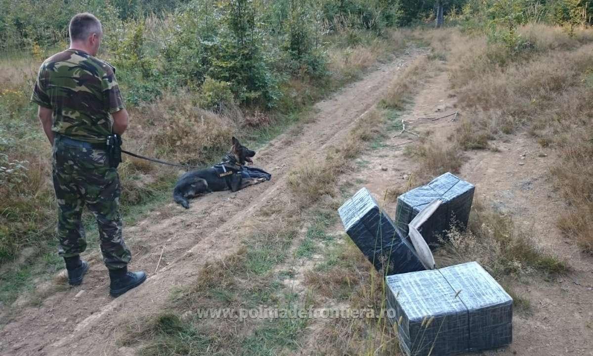 FOTO/VIDEO. Cum se face contrabanda în Țara Oașului. Ucrainenii fac legea