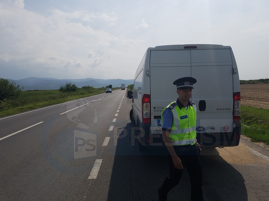 Gest inconștient în plină epidemie de pestă porcină în județul Satu Mare