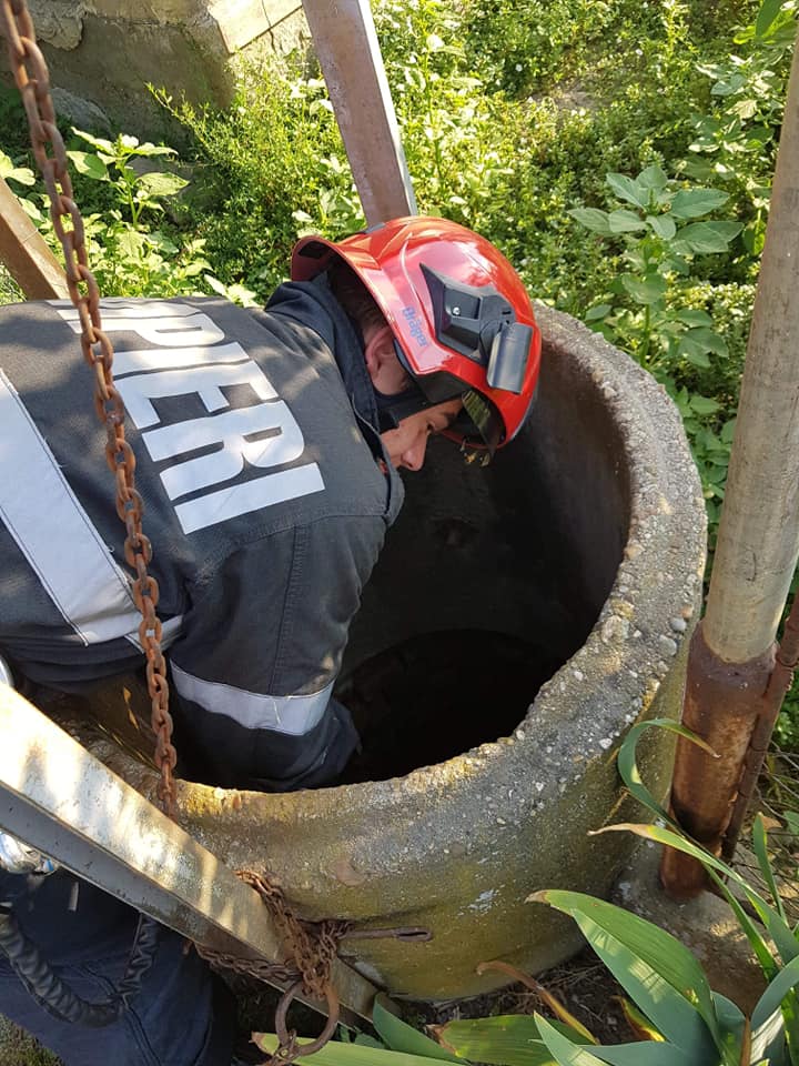 FOTOGALERIE. Intervenție specială a pompierilor, în județul Satu Mare!