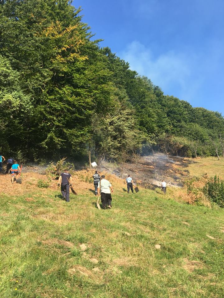 ALARMĂ. Incendiu la o pădure din județ. Se intervine masiv în zonă