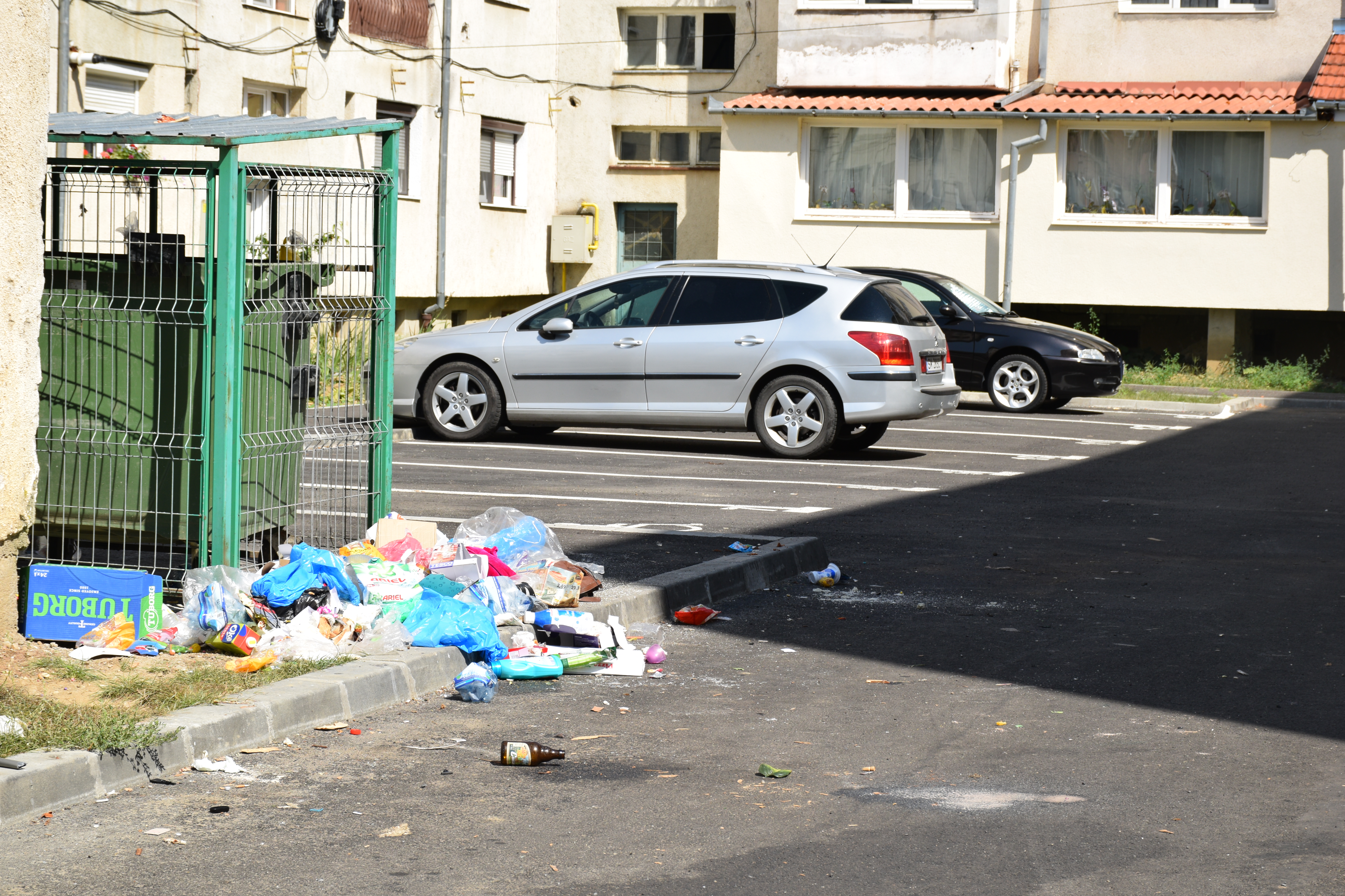 FOTO. Mii de amenzi date de Primăria Satu Mare... pe degeaba. Apel la sătmăreni