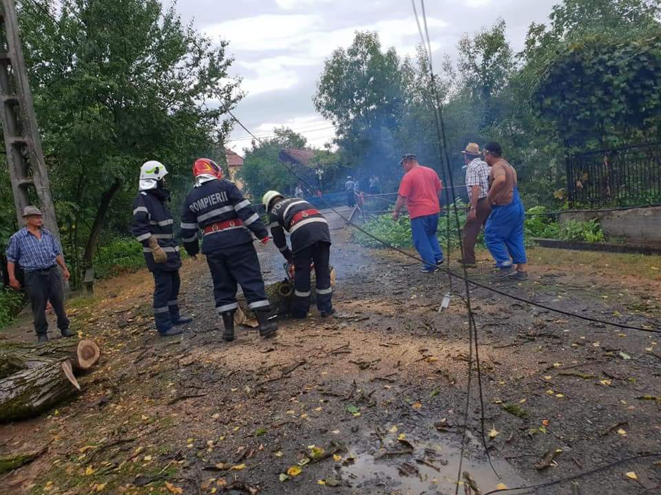FOTOGALERIE. Vijeliile au rupt copacii în județul Satu Mare