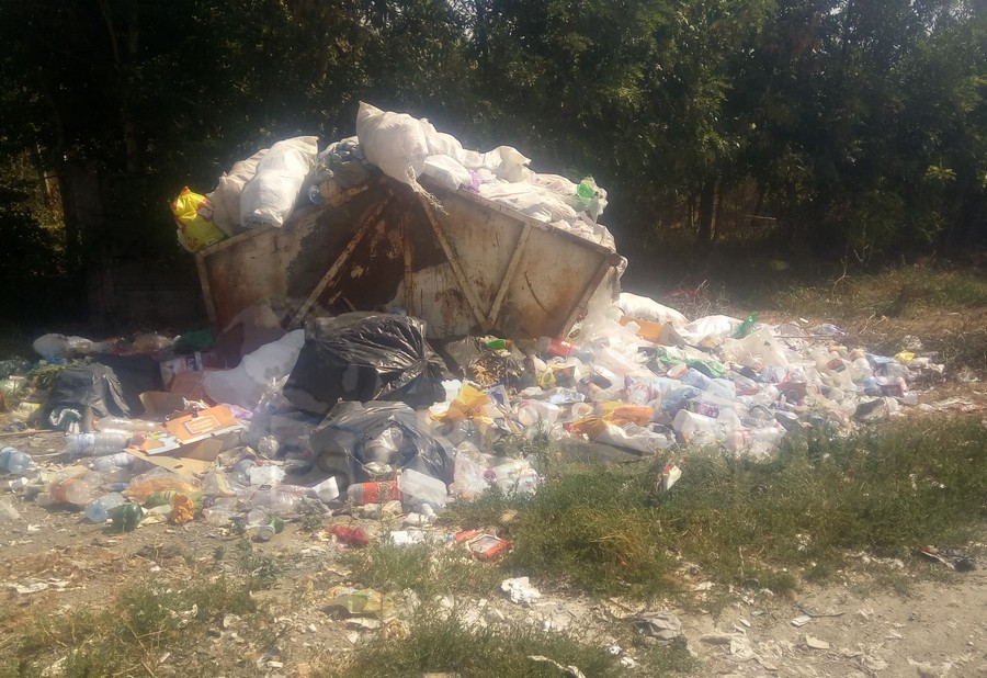 FOTO. Localitatea din județ îngropată în gunoi, șobolani și câini maidanezi!