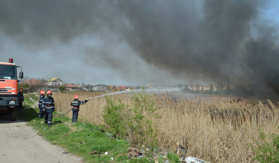 Incendiu pe 0,4 hectare în municipiul Satu Mare, pe Drumul Careiului