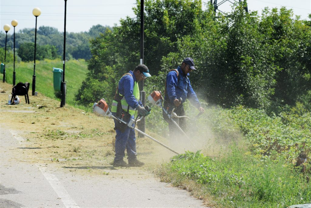 Florisal a pierdut ”monopolul” în Satu Mare. O firmă din București a preluat controlul