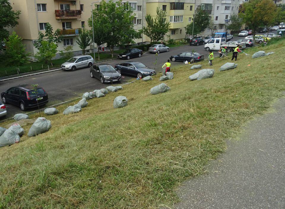 FOTO/VIDEO. Cum lucrează noile firme de salubrizare. Cine se află în spatele lor