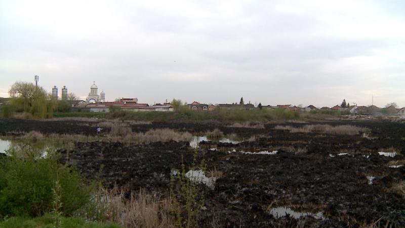 Milioane de euro pentru reabilitarea Lacului Cubic. ”Insula” infracțională a Sătmarului