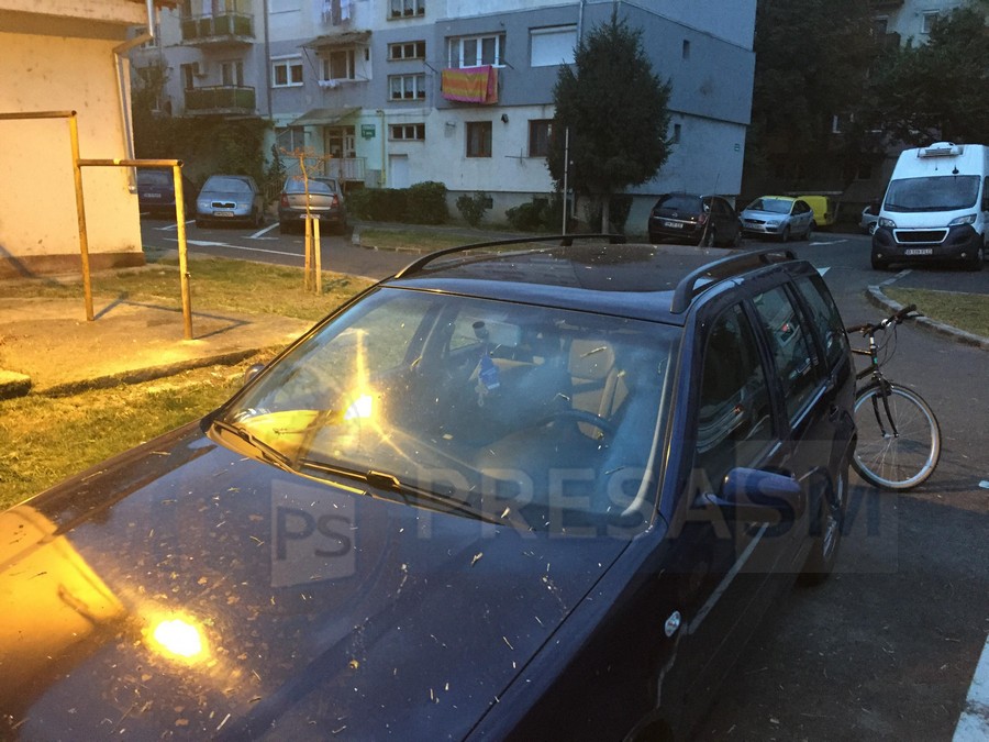 FOTOGALERIE. S-a tăiat iarba în Micro 17 și s-au camuflat mașinile cu iarbă și noroi