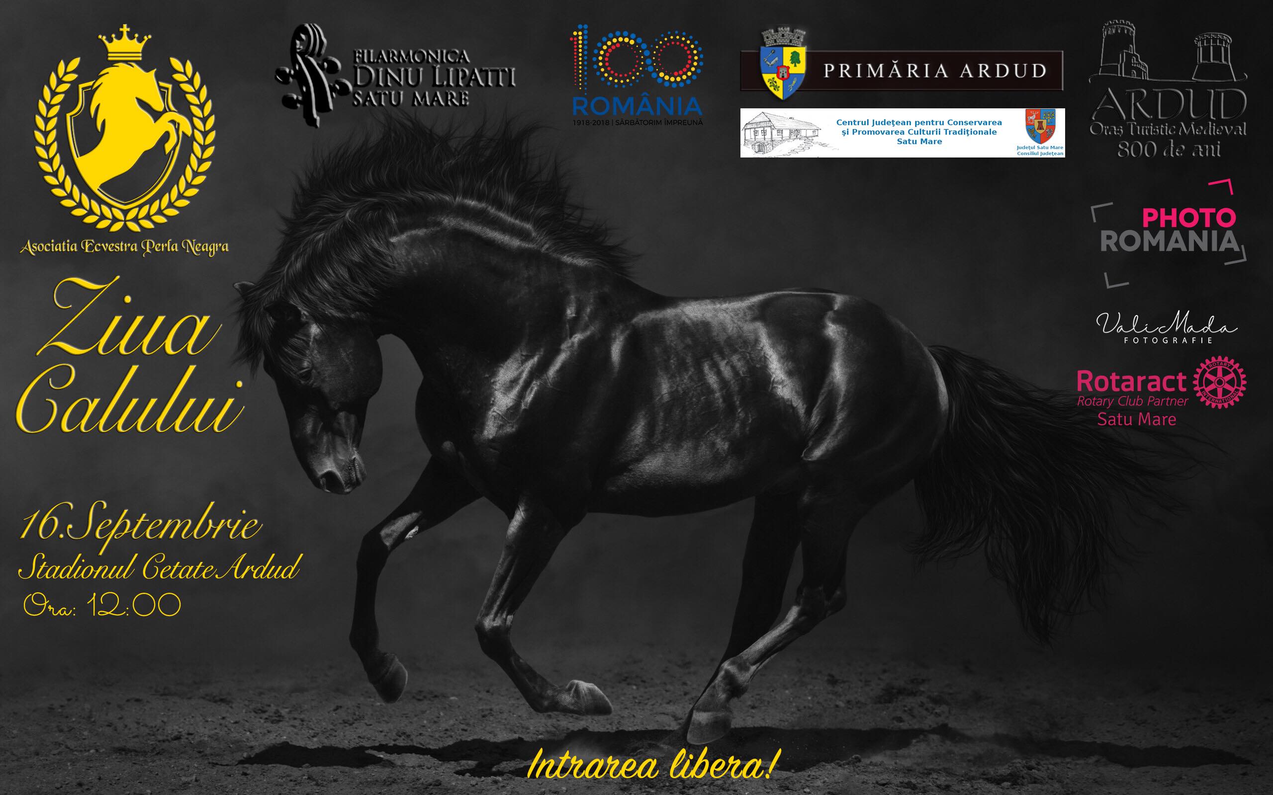 PREMIERĂ. Ziua calului, sărbătorită la Ardud. Spectacol și intrare liberă