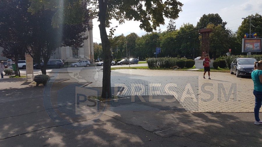 FOTO. Criză de taximetre în Satu Mare. Comenzile telefonice, un chin