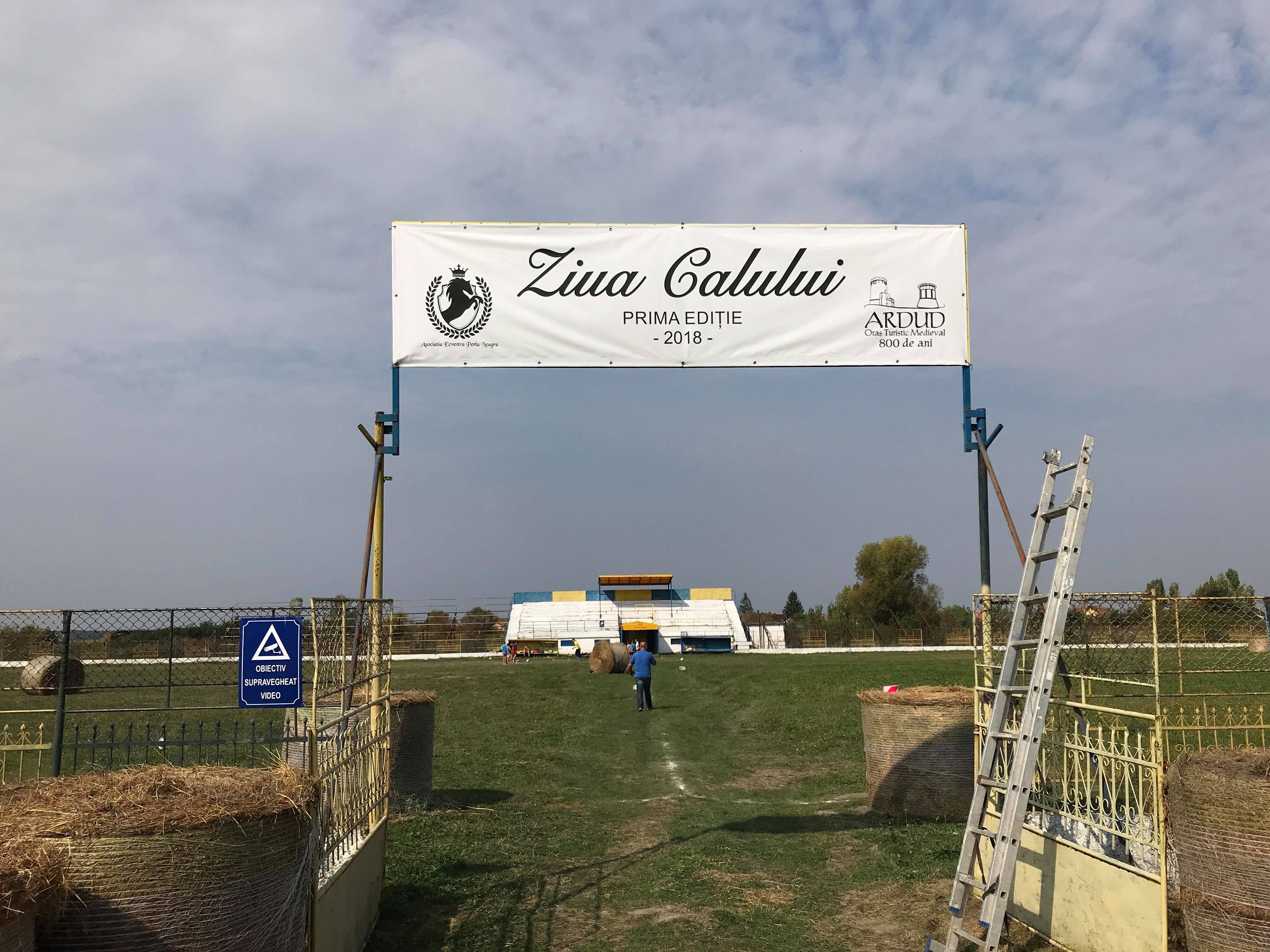 Duminică are loc cel mai mare eveniment dedicat calului. Și e gratis!