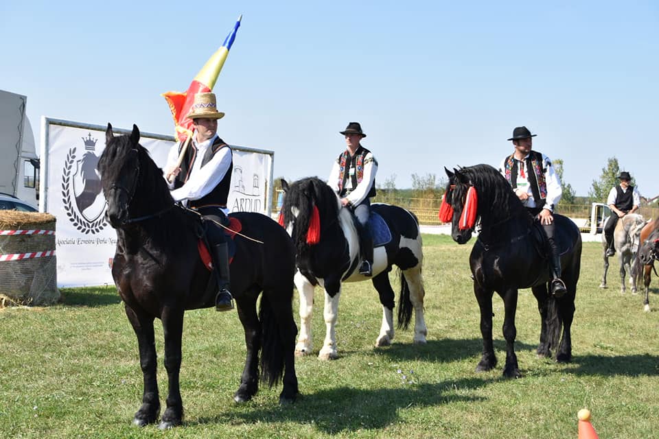 PROGRAM. Cei mai frumoși cai se întrec la Ardud. Un eveniment de excepție