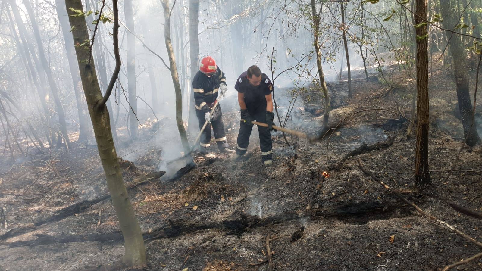 FOTO/VIDEO. Hectare întregi de pădure distruse de flăcări. Incendiu de amploare în județ