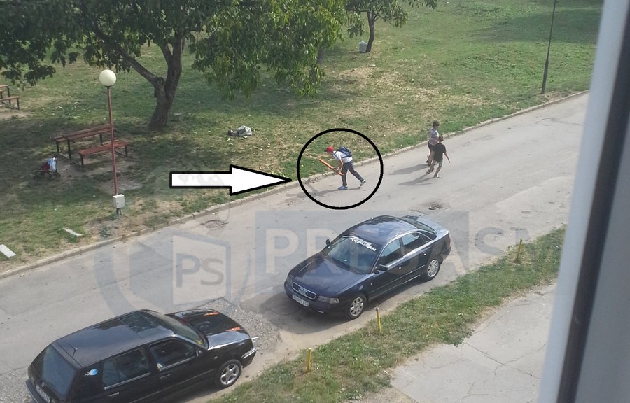 FOTOGALERIE. Cum se vandalizează parcurile din Satu Mare, în plin zi