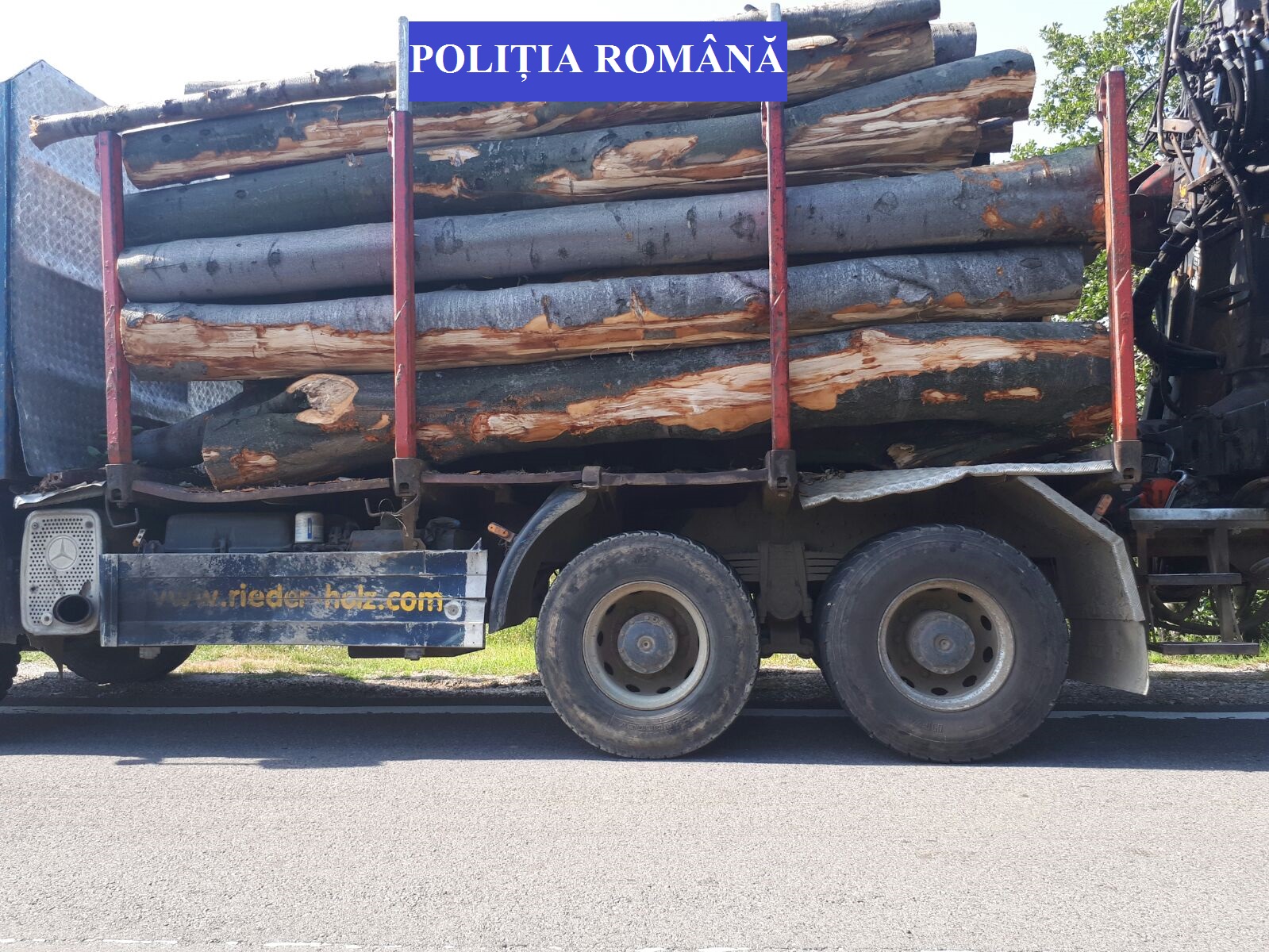 Sătmarul minunilor! Polițiști lăsați cu ochii în soare de pădurari. Suspectul a scăpat