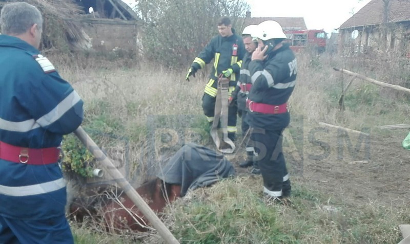 FOTO/VIDEO. Pompierii au salvat calul căzut într-o fosă septică! Felicitări salvatorilor!