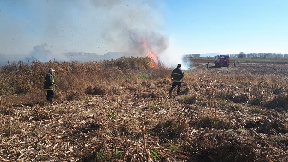 FOTOGALERIE. Incendiu de amploare. La un pas să facă scrum culturile vecinilor