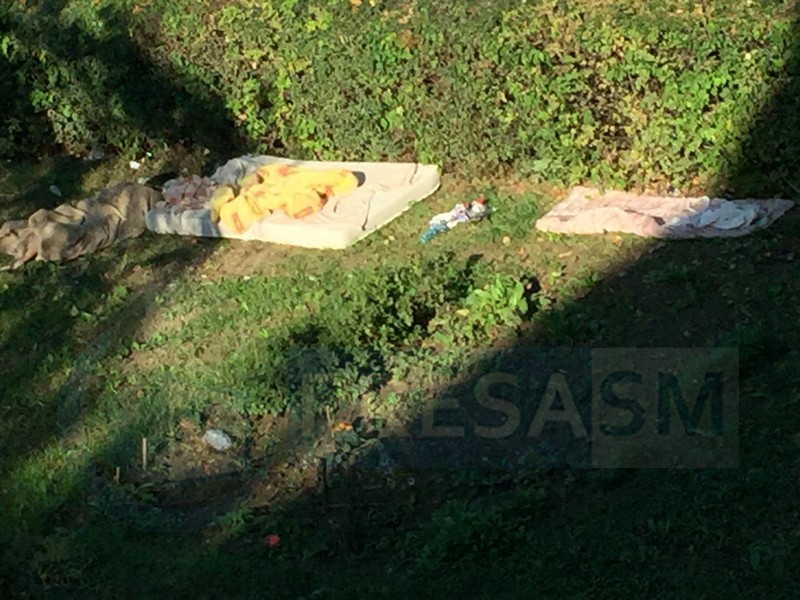 FOTOGALERIE. Invazie de boschetari în Satu Mare. Cartier sub asediu