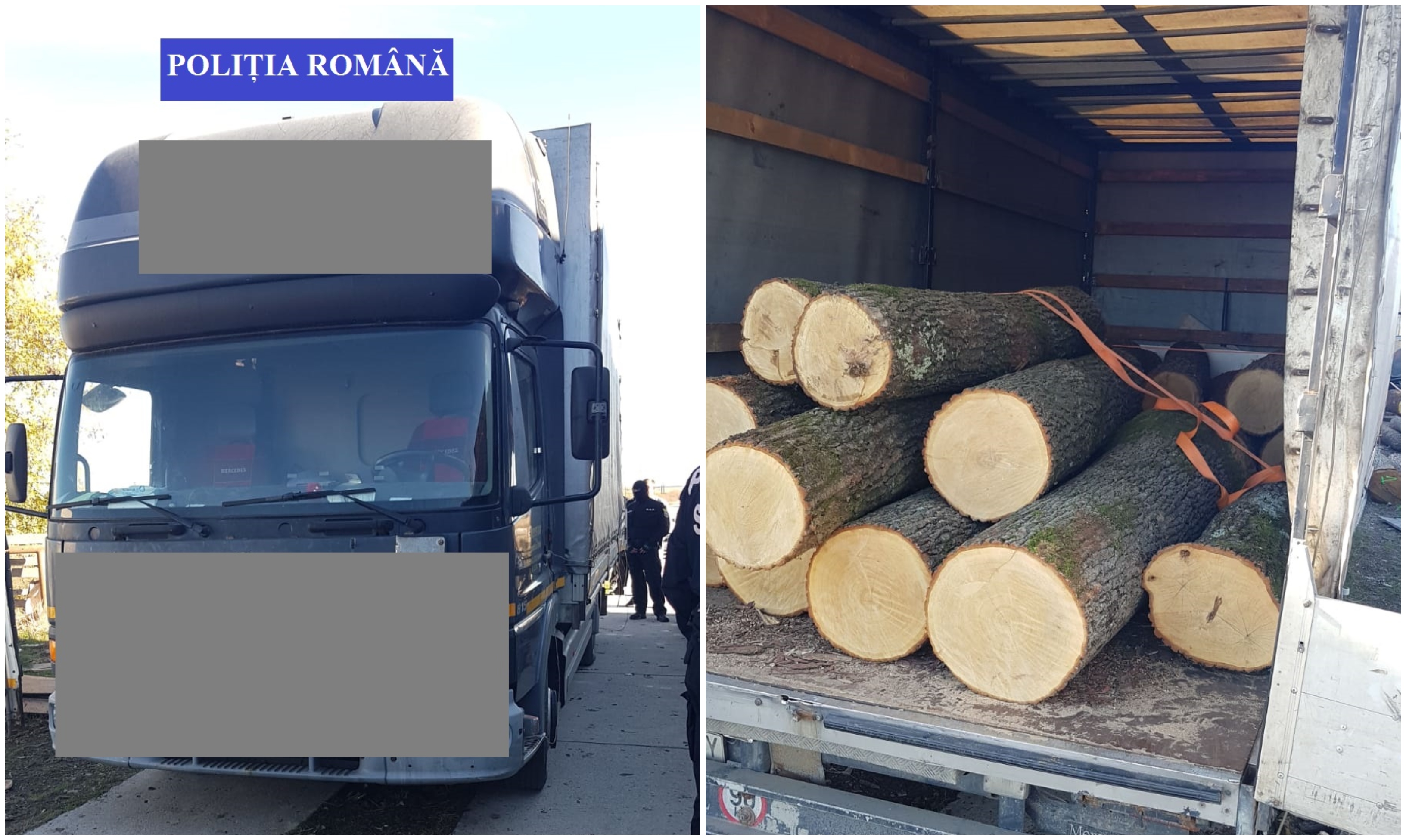 FOTOGALERIE. Mafia lemnului, pusă pe butuci! Se fură cu TIR-ul lemnele în Satu Mare