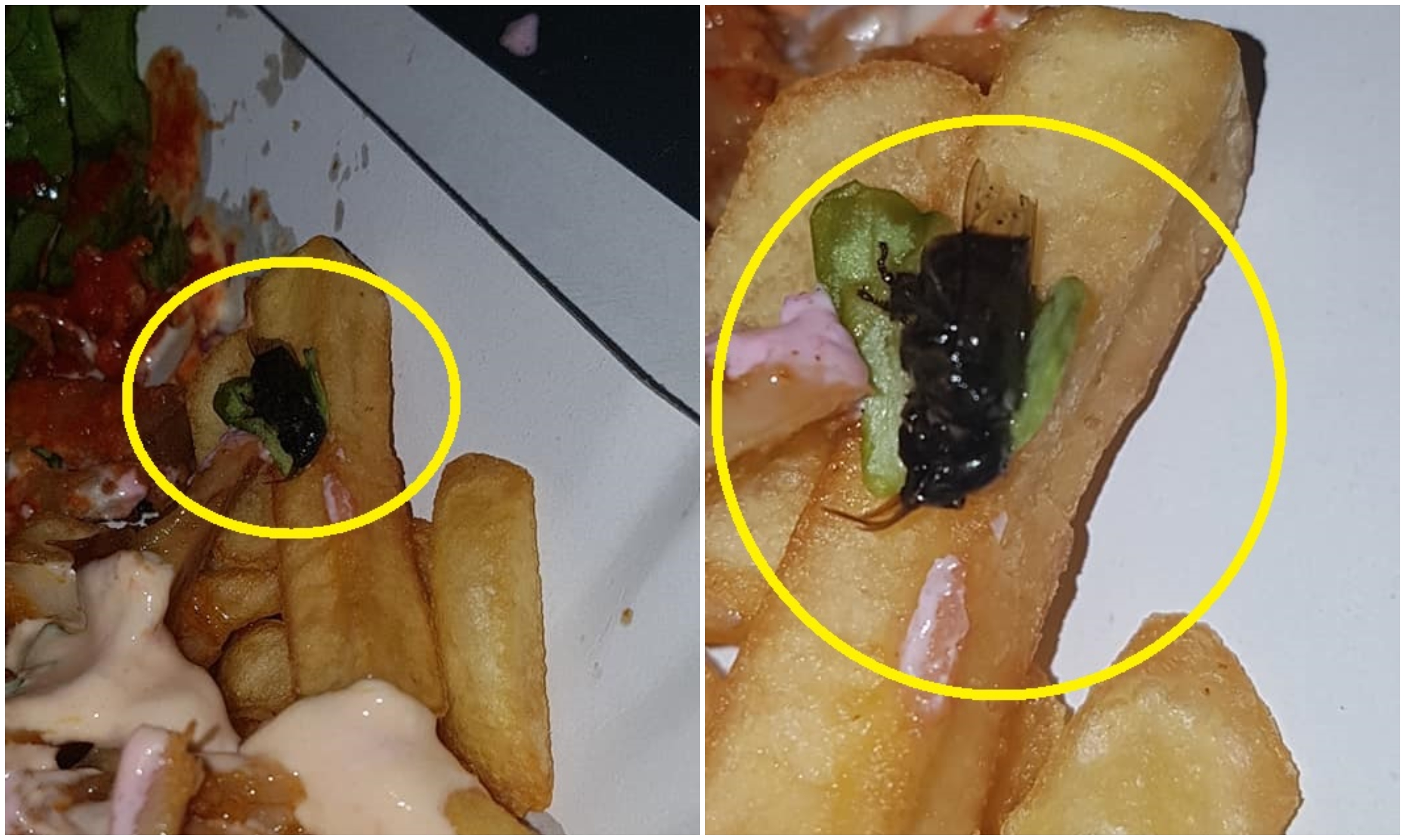 FOTO. Ofertă SPECIALĂ! Shaorma cu muște în centrul Sătmarului!