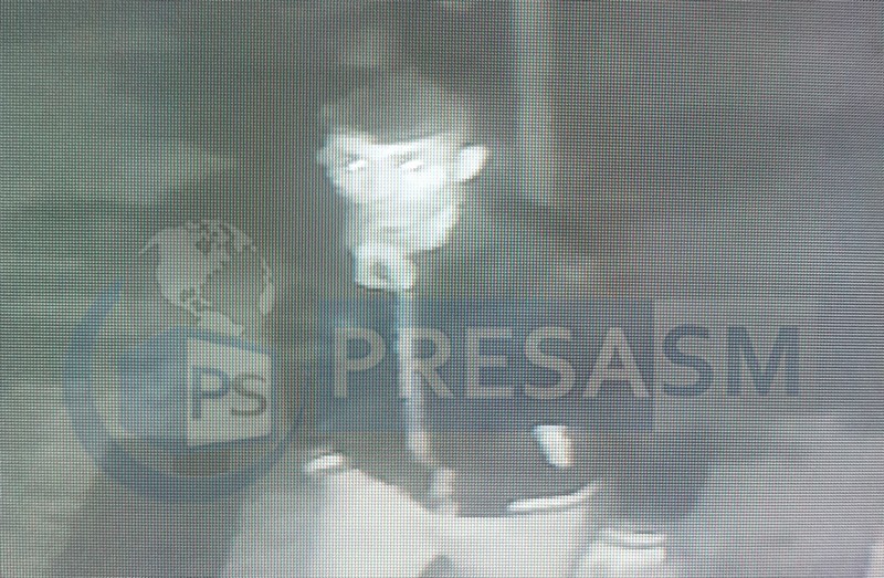 VIDEO. Hoții fac prăpăd lângă municipiul Satu Mare. Furt pe bandă rulantă