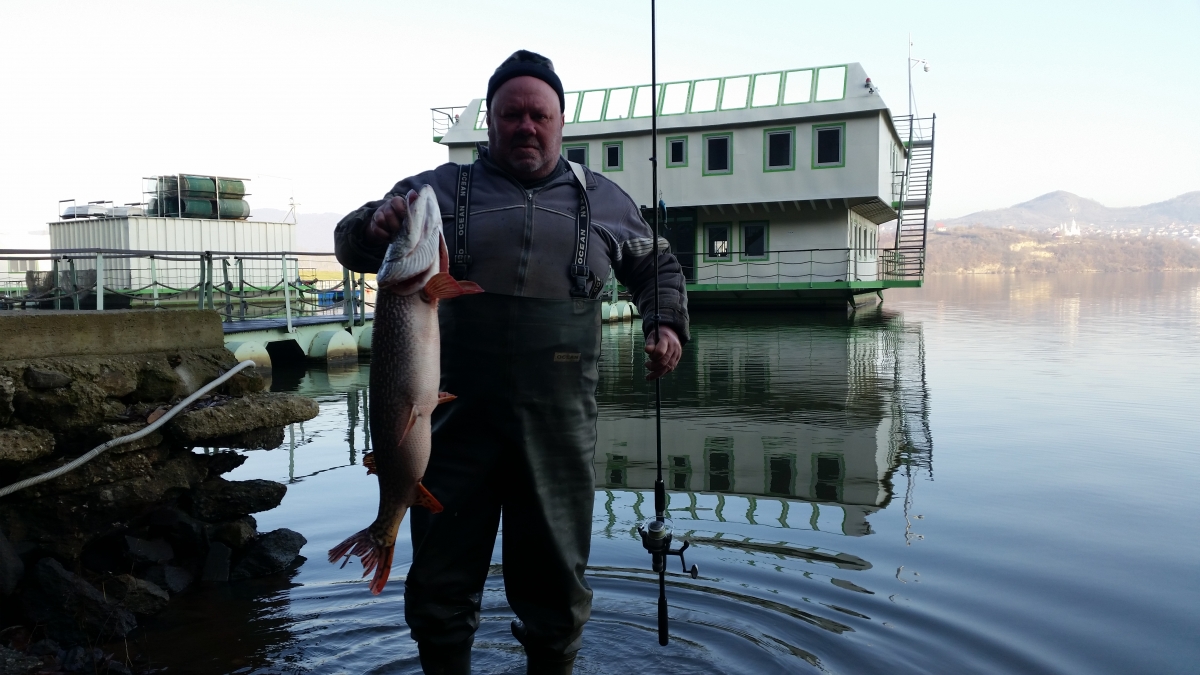 FOTO/VIDEO. Populare intensivă cu pește pe cel mai mare lac din județul Satu Mare