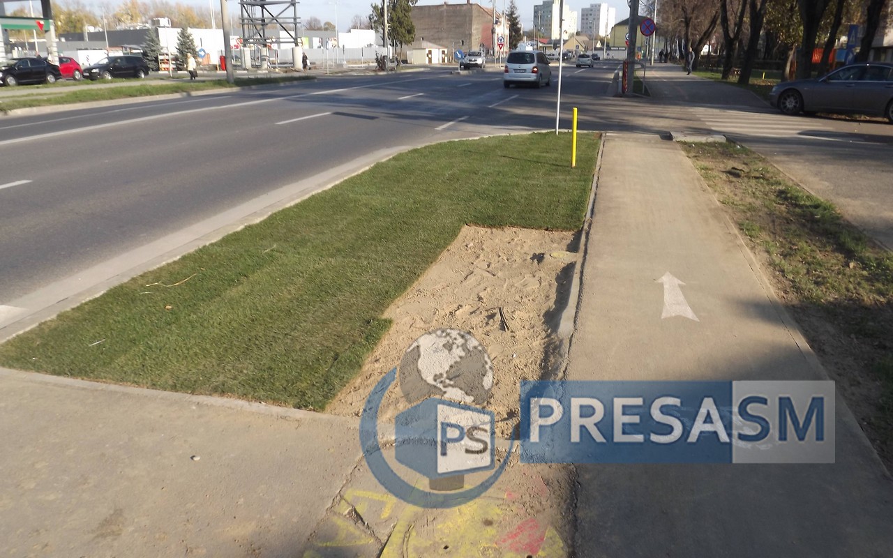 FOTO. Se fură gazonul pus recent pe Drumul Careiului?!