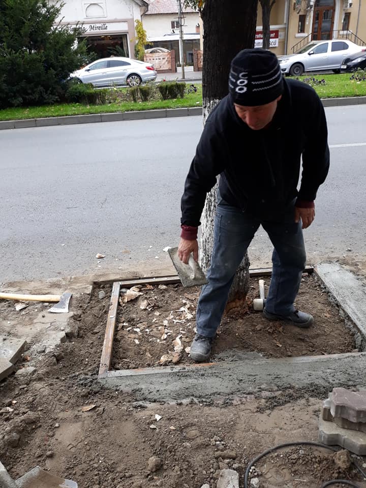 Postare virală. Asta înseamnă Oltenia! Placa decorativă, mai importantă decât copacul