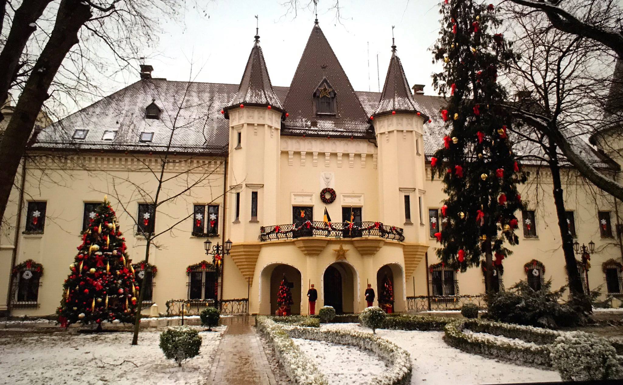 VIDEO. Careiul, un oraș ca-n Austria. Autobuze electrice, bazin de înot și bibliotecă cu videocinema, proiectele Primăriei