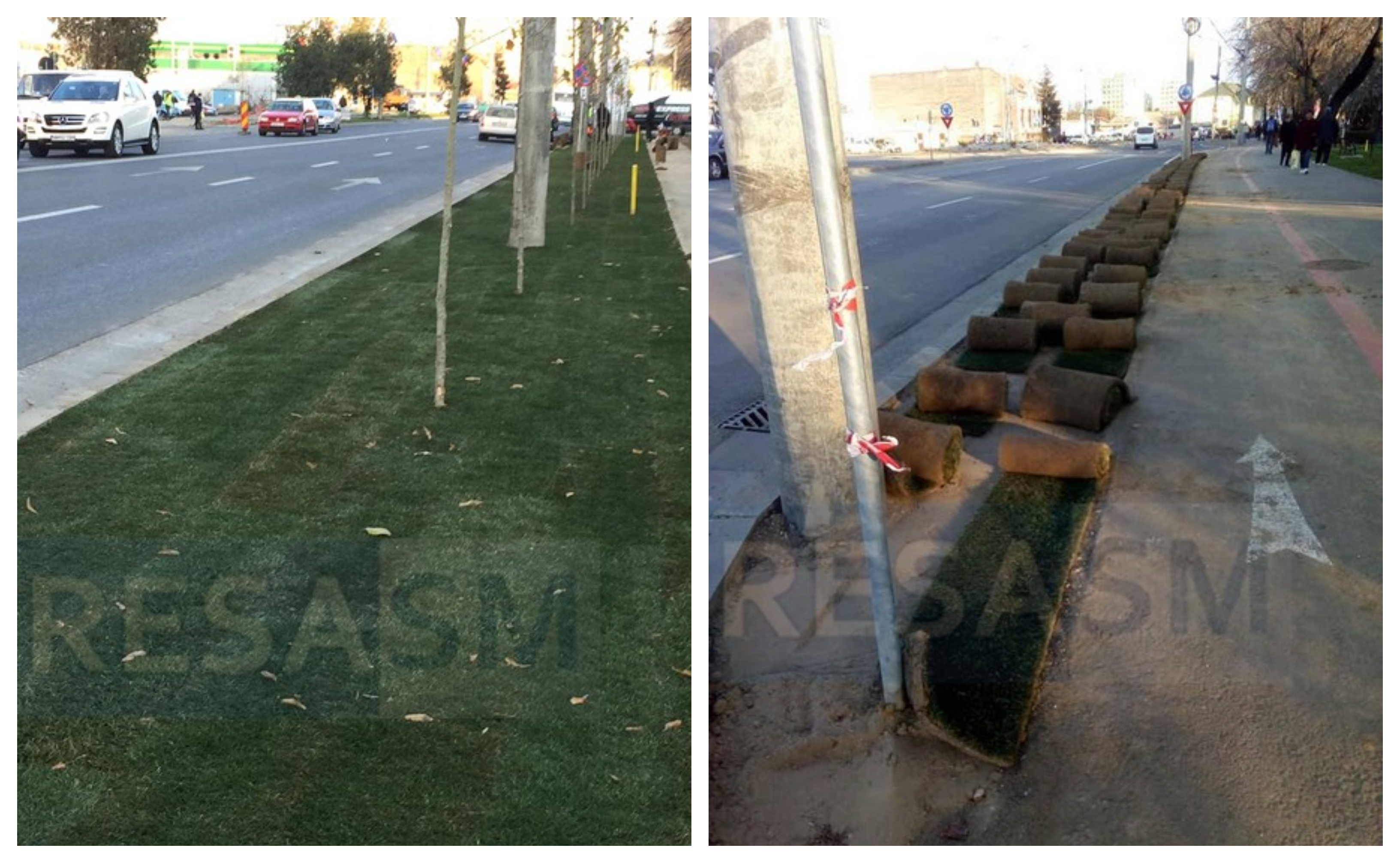 FOTOGALERIE. Impecabil! Gazon pe spațiul public, pe Drumul Careiului