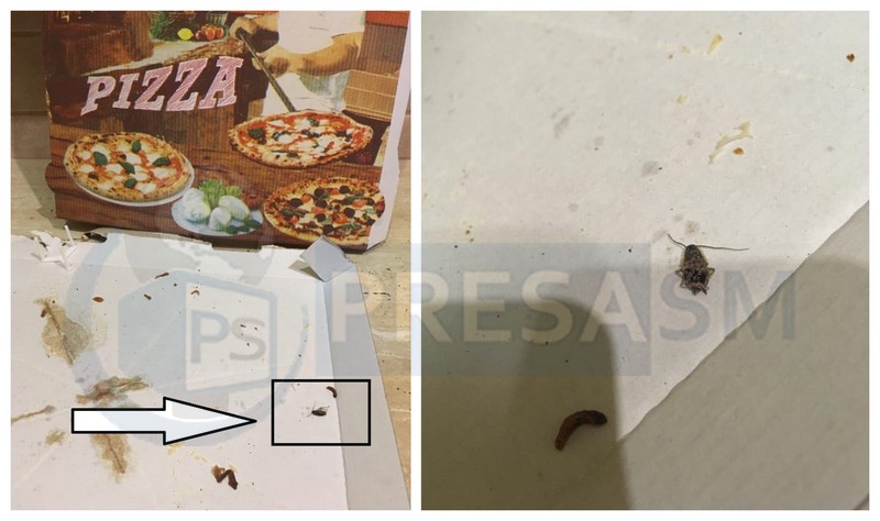 FOTOGALERIE! Nou în județul Satu Mare! Pizza cu gândaci prăjiți