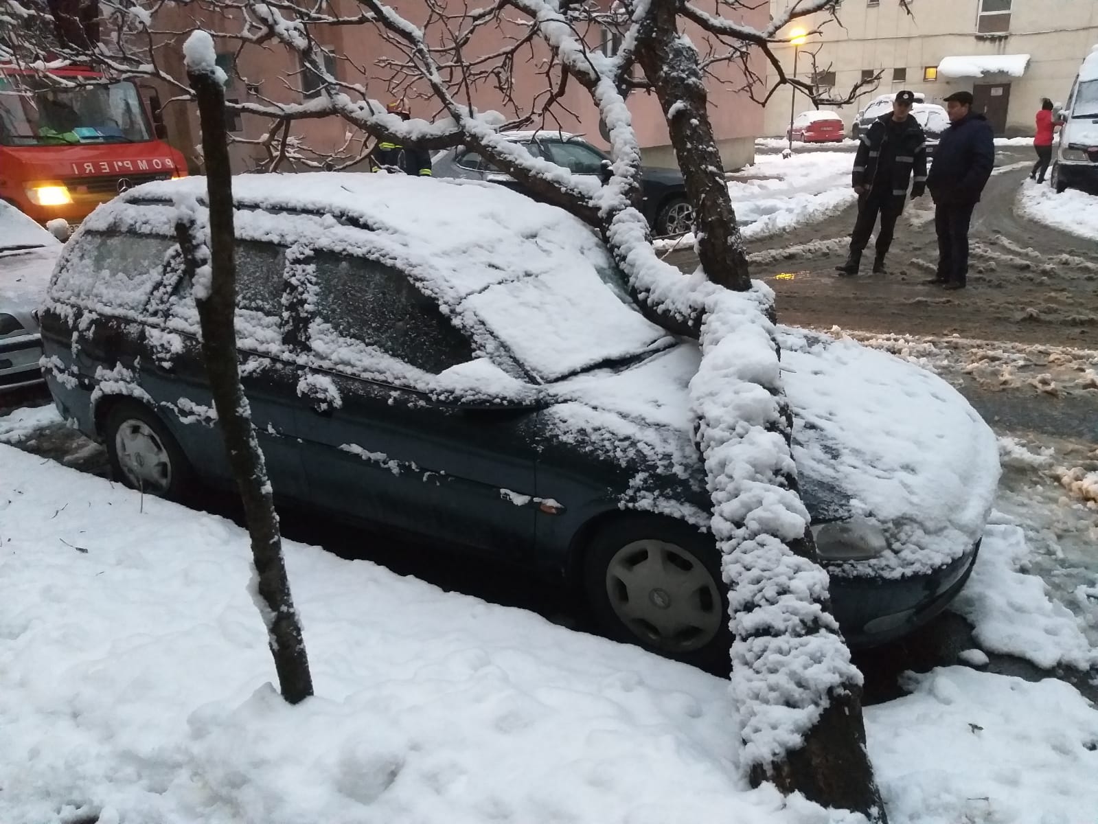 FOTO. Copaci căzuți, mașini avariate. Bilanțul ISU Satu Mare după prima ninsoare din iarna lui 2018
