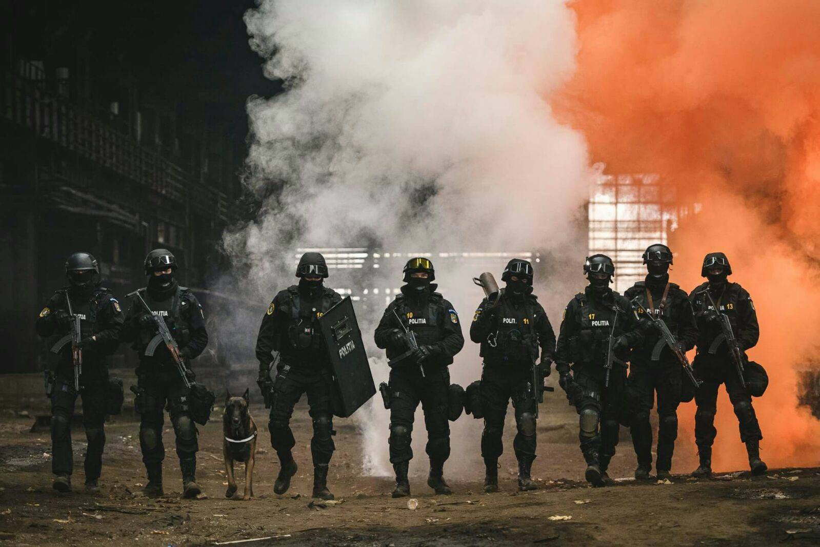 Avertismentul haios al Poliției Române pentru cei care vor "să colinde gazdele ce nu-s acasă"