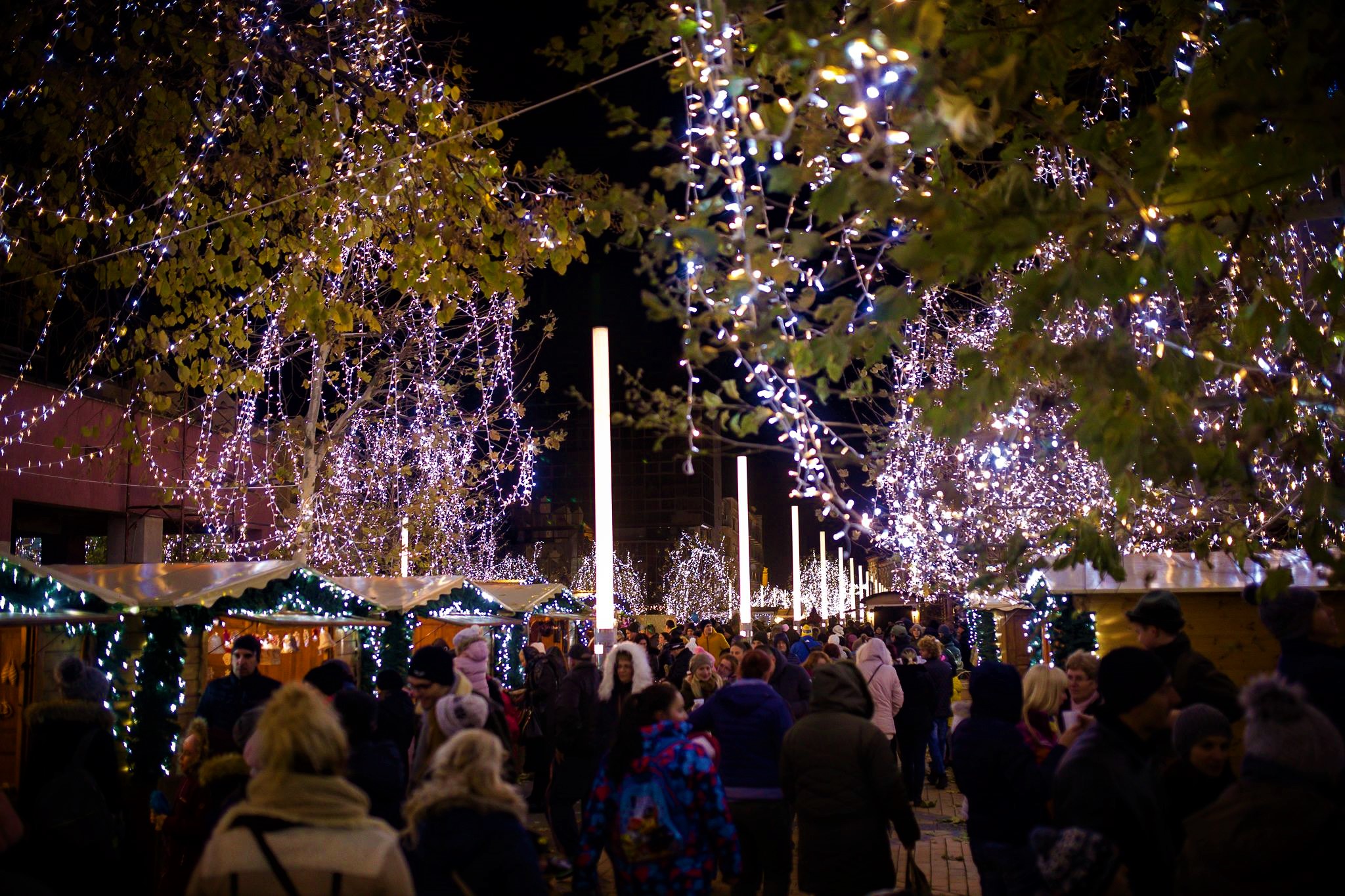 PROGRAM. Târg de Crăciun și concerte în Satu Mare