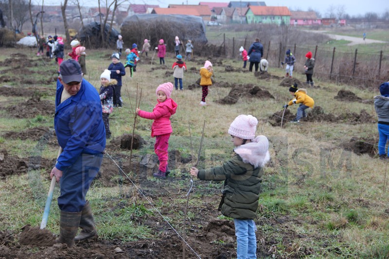 FOTO. Proiect inedit Alu Menziken. Livadă plantată cu ajutorul copiilor. Banii strânși, investiți în școală!