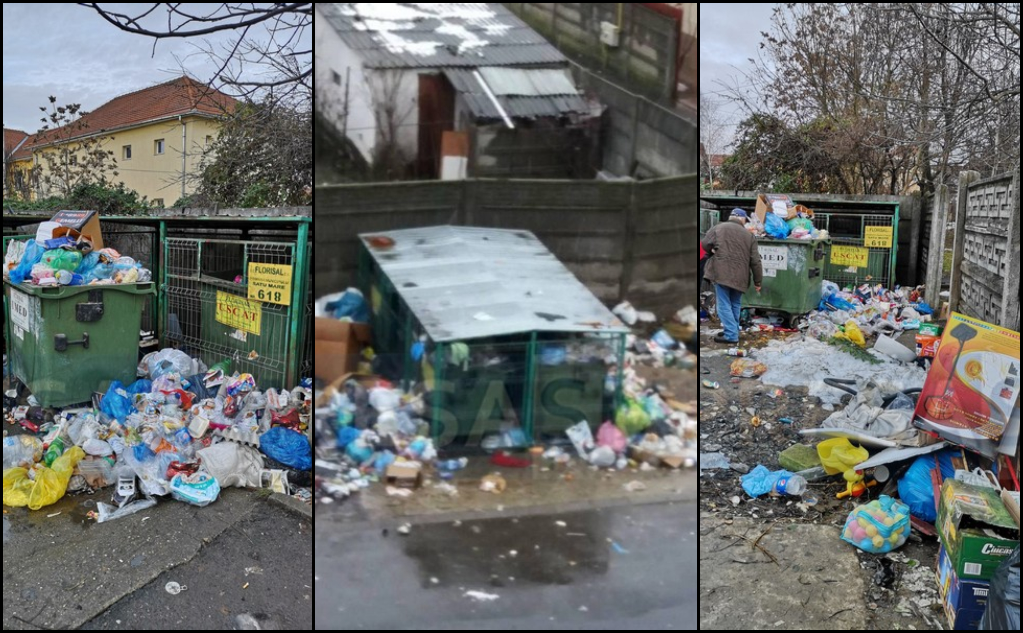 FOTOGALERIE. Sătmarul, sufocat de gunoaie. Nu se ridică deșeurile înaintea Crăciunului?!