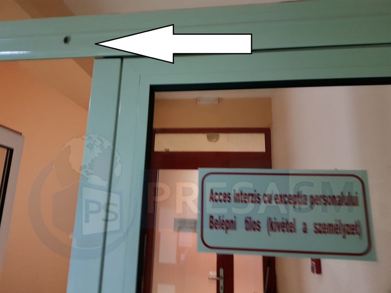 FOTOGALERIE. Gândacii au ajuns la Urgențe. Un loc sigur, nu îi deranjează nimeni