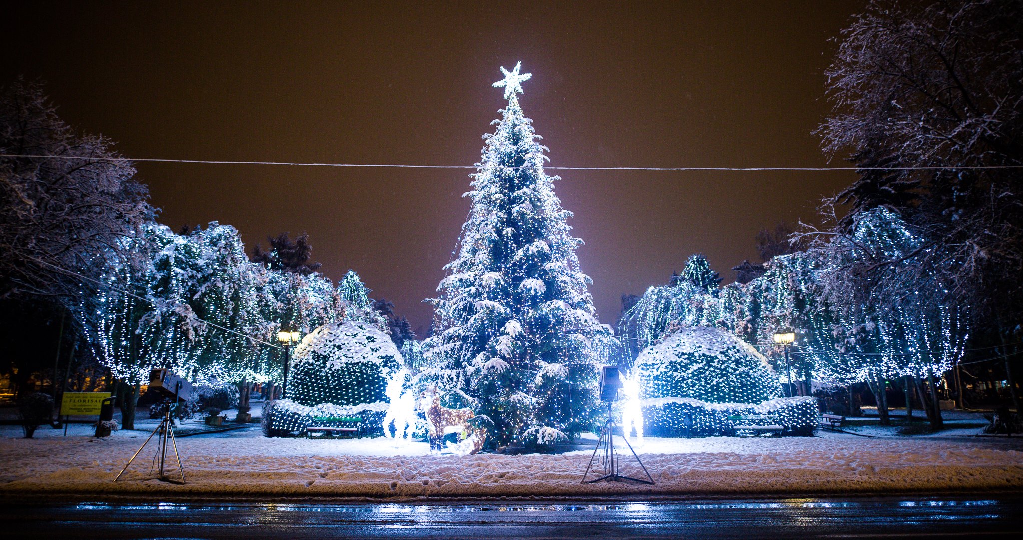 TOPUL cheltuielilor cu iluminatul festiv. Cât a alocat Satu Mare față de alte orașe