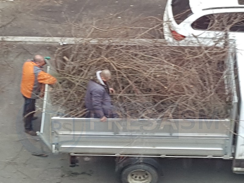 VIDEO. Când munca e un chin, în Satu Mare! Viteza melcului turbat, pe banii Primăriei