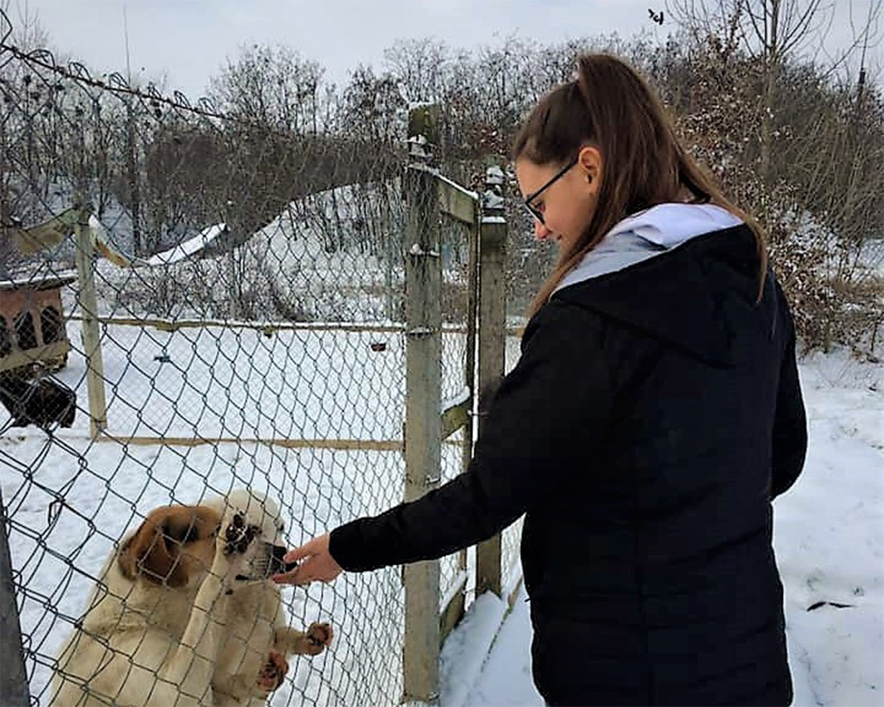 Tineri dornici să ajute. Ce au făcut doi sătmărenii cu banii din colindat