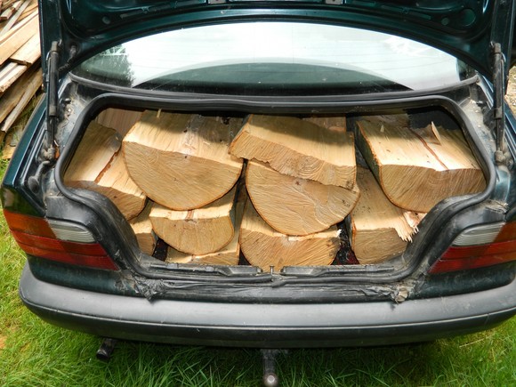 A tăiat copacii și a băgat lemnele în portbagaj. Tânărul sătmărean, prins de polițiști