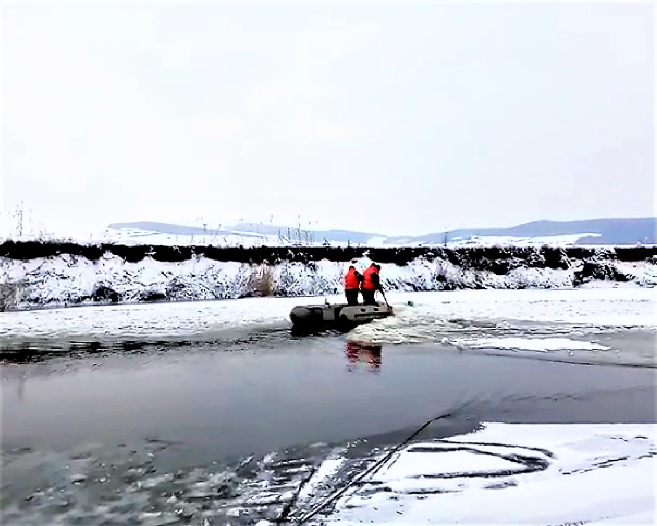 VIDEO. Intervenție pe Someș. Pompierii, chemați să salveze un câine