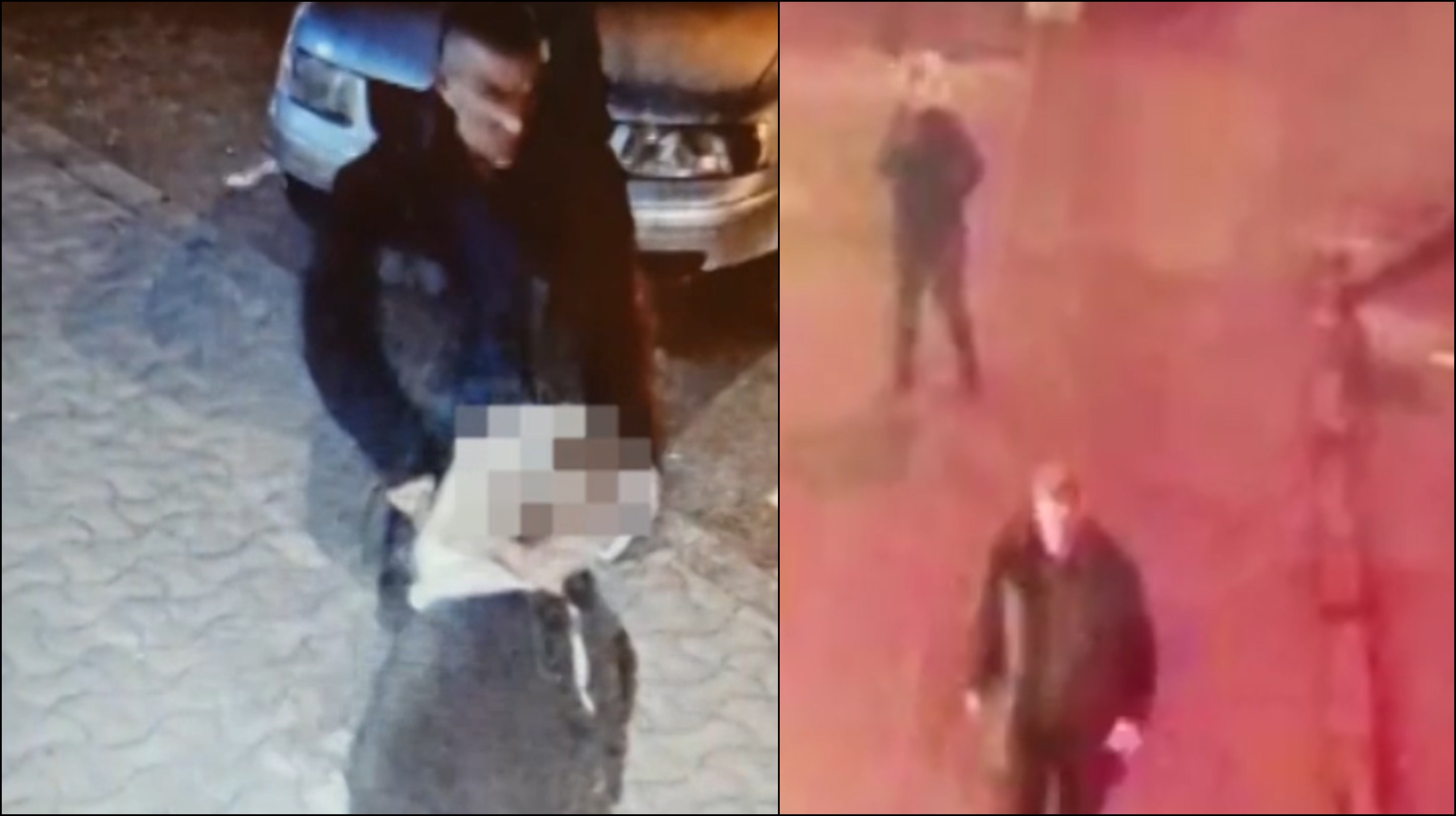 VIDEO. I-au furat până și banii din ciorapi. Anchetatorii din Sălaj au apelat la cetățeni