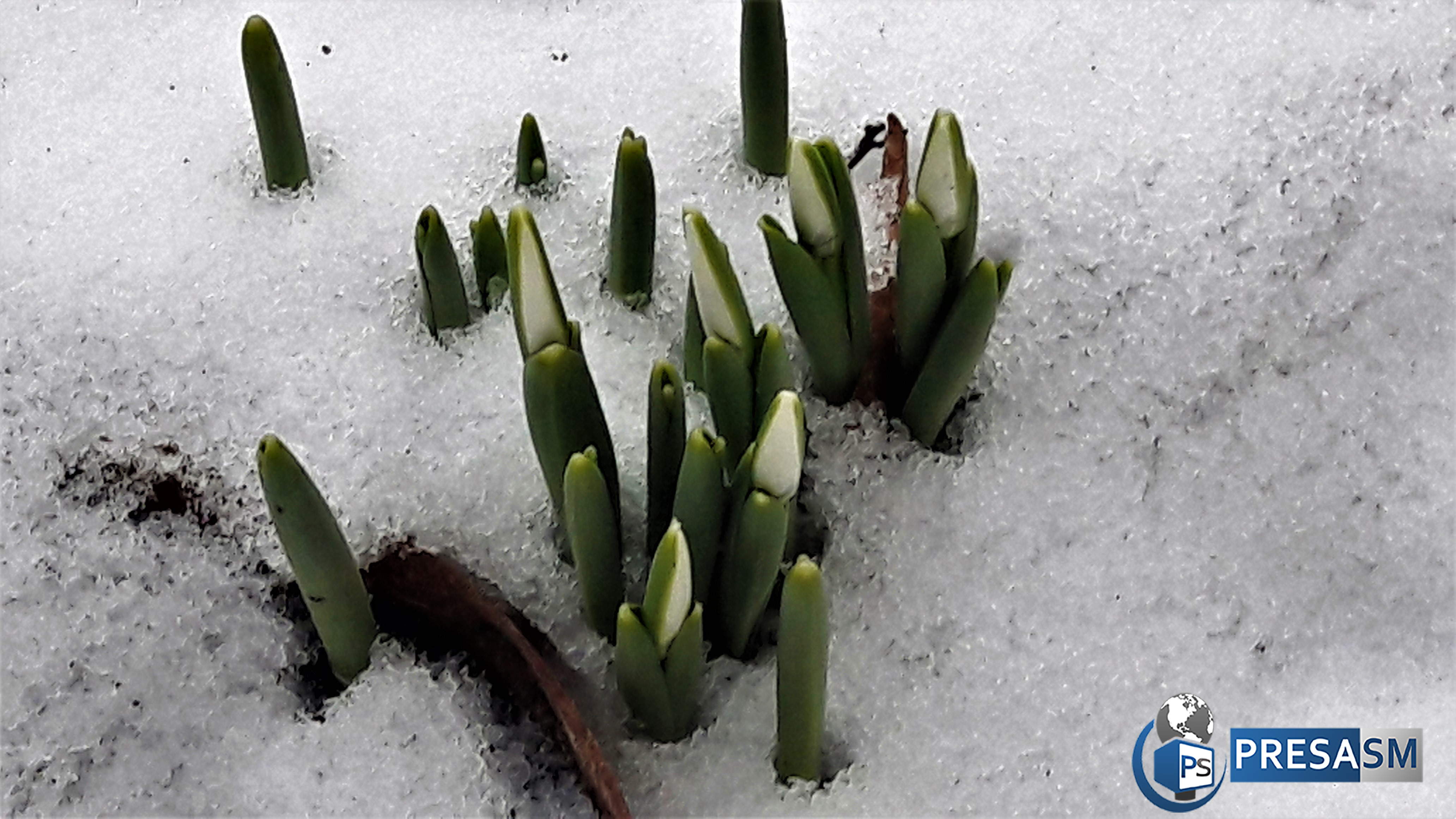 Vremea se încălzește. Vor fi temperaturi de primăvară și la Satu Mare